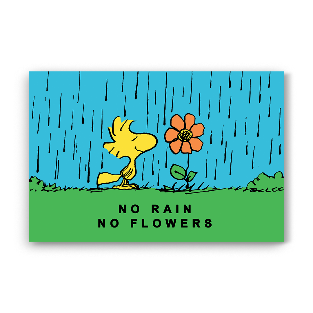 PEANUTS - No Rain No Flowers