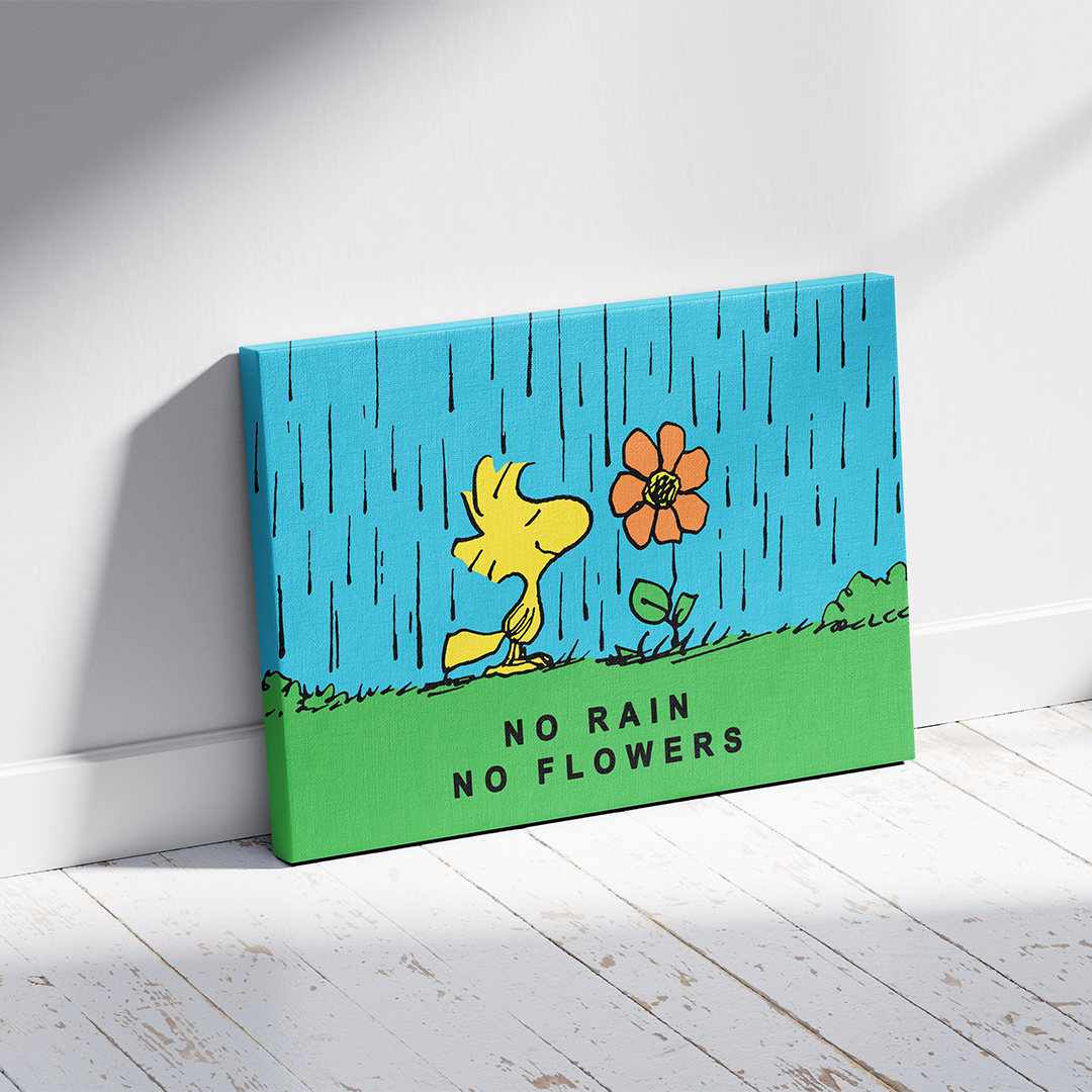 PEANUTS - No Rain No Flowers