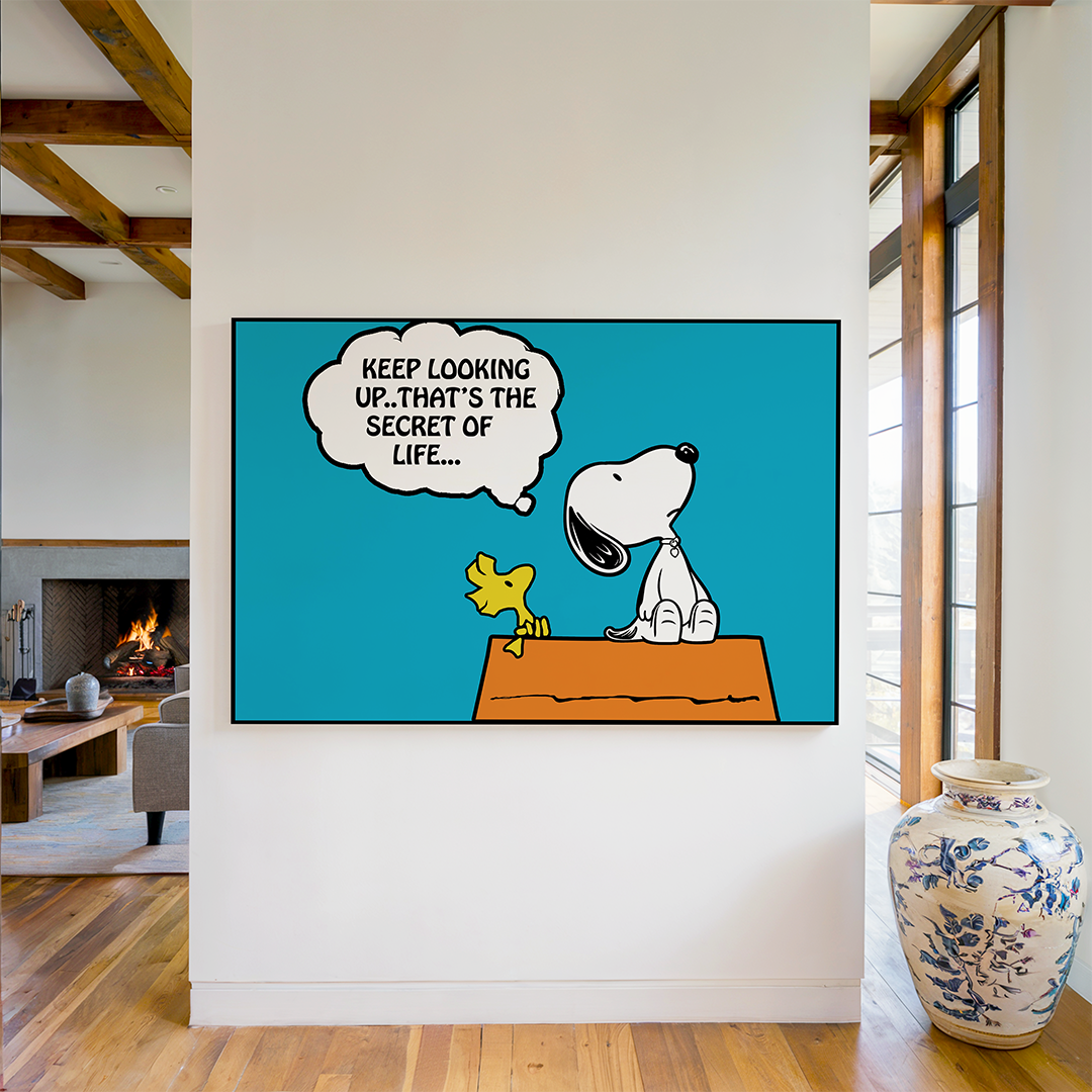 PEANUTS - Keep Looking Up