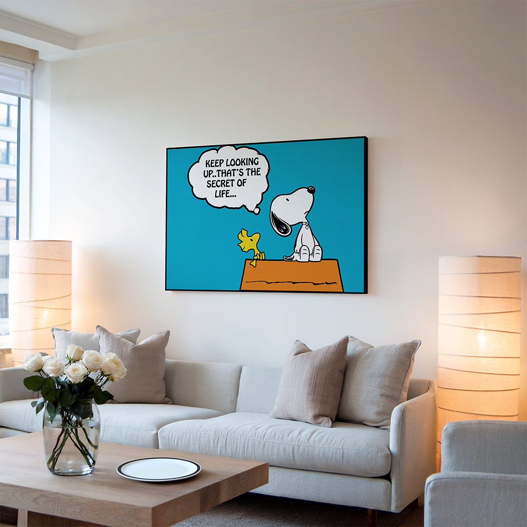 PEANUTS - Keep Looking Up