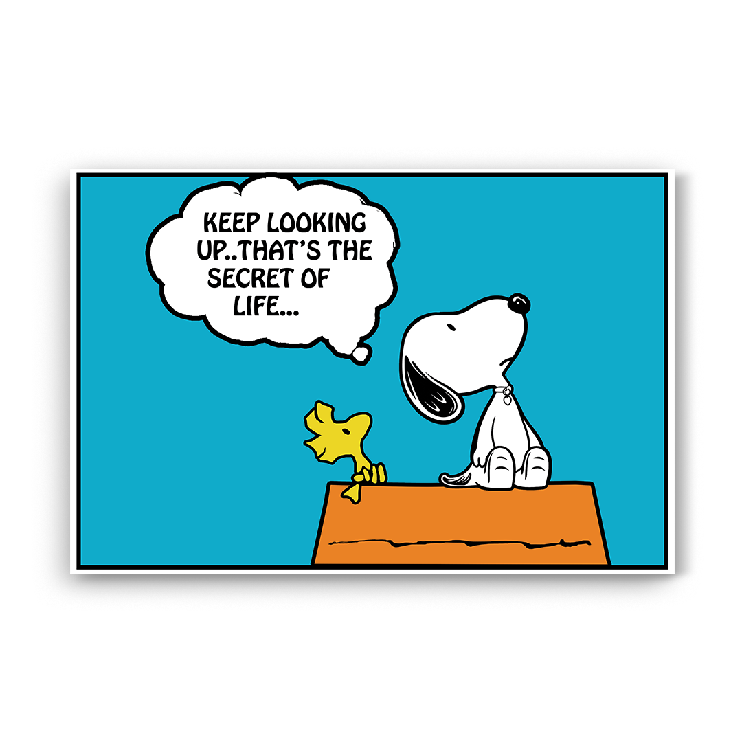 PEANUTS - Keep Looking Up