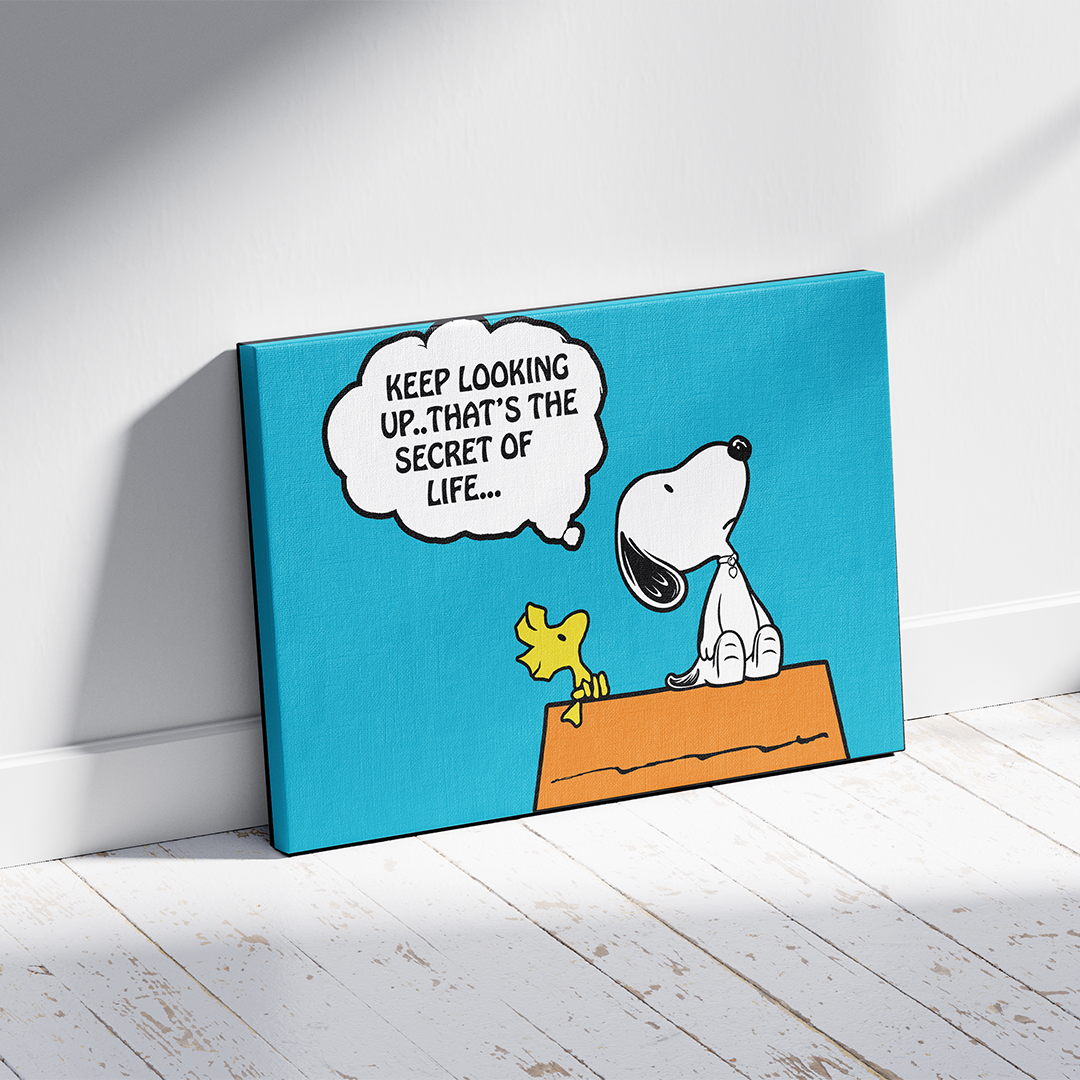 PEANUTS - Keep Looking Up